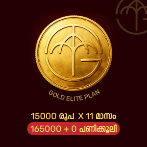 Gold Elite Plan